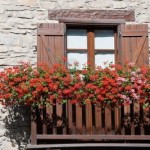7859594-charakteristische-alpine-balkon-mit-roten-und-rosa-geranium-blumen