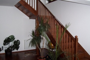 Dřevěné schody je možno zvolit v mnohých imitacích /