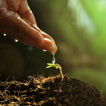 shutterstock_314995418 (1)