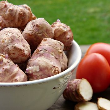 jerusalem-artichoke-2192048_640