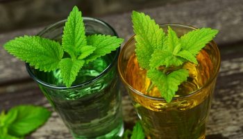 lemon-balm-770051_640