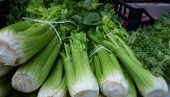 celery-248156_640