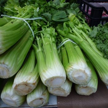 celery-248156_640