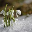 spring-1166564_640