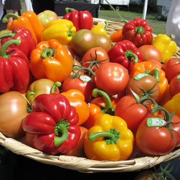 tomatoes-1961820_640