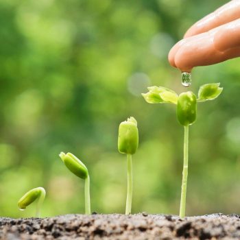 shutterstock_299846063