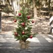 christmas-tree-2895143_640