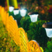 Decorative,Small,Solar,Garden,Light,,Lanterns,In,Flower,Bed,In