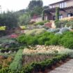 impressive-slope-landscaping-ideas-for-backyard