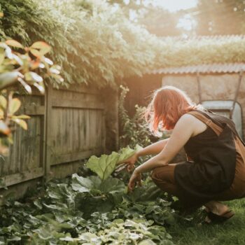 woman-planting-vegetable-small-home-garden_53876-105373