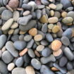 sea-beach-and-wet-stones-1186695