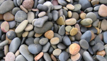 sea-beach-and-wet-stones-1186695